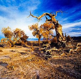 《生化危机4：重制版》角色介绍：阿什莉、艾达王