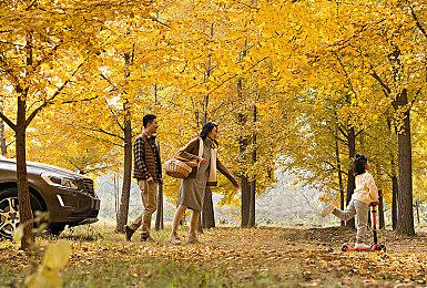 开发团队KeokeN：《飞向月球》突破百万玩家